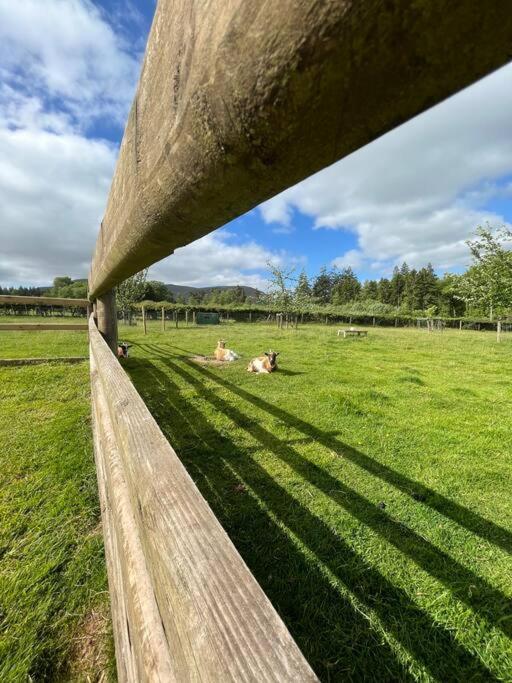 Herdmans Hideaway เบรคอน ภายนอก รูปภาพ